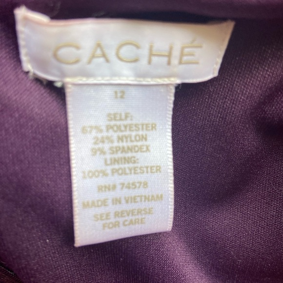 Cache Leopard Velvet Burnout Bodycon Sheath Dress Sz 6 Witchy Whimsigoth - Picture 4 of 11